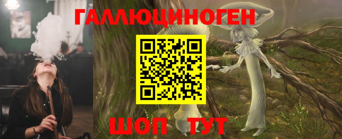 Псилоцибиновые грибы Psilocybine cubensis  Ачхой-Мартан  Галлюциногенные грибы ЛСД 