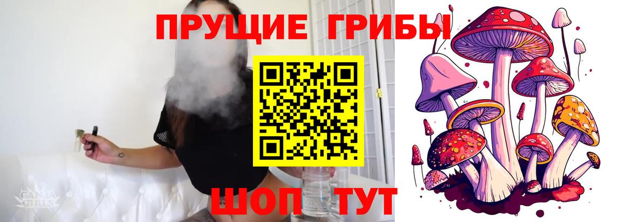 Галлюциногенные грибы GOLDEN TEACHER  Галлюциногенные грибы GOLDEN TEACHER  Вход с VPN  Ачхой-Мартан 