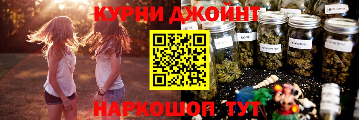 Конопля сатива Ачхой-Мартан